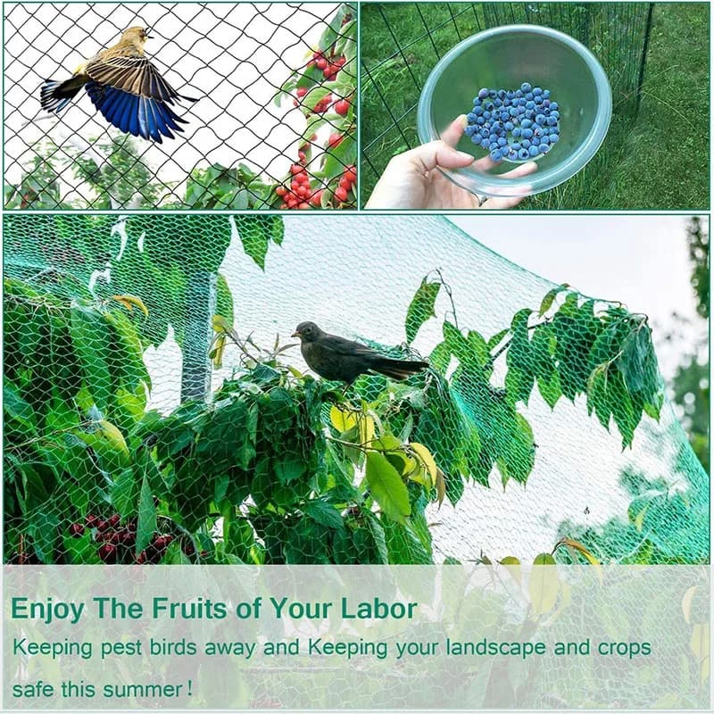 Filet de Protection anti-oiseaux vert