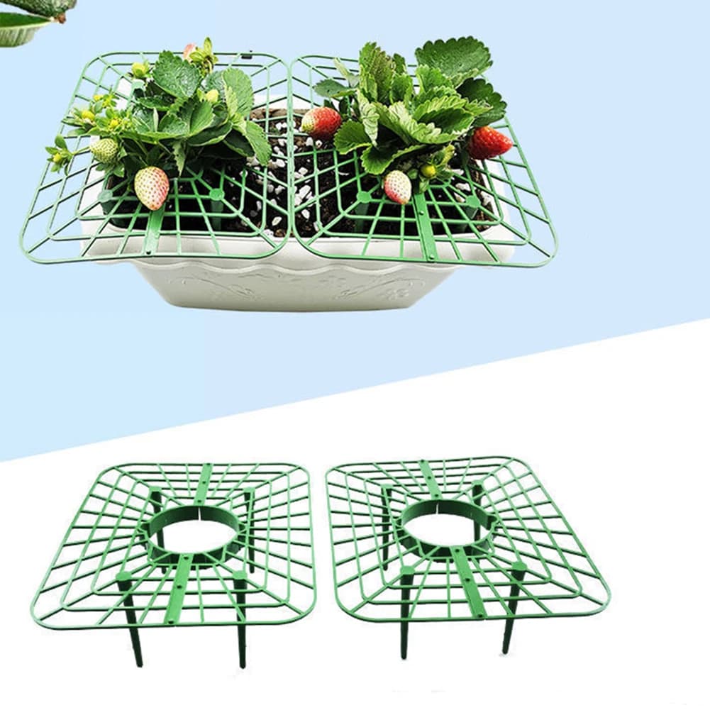 Supports de plantes Harvey 4