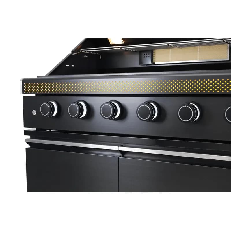 Barbecue à gaz robuste pour l'extérieur, idéal pour le jardin, le camping, les fêtes, la zone des supporters de football, équipement de cuisson