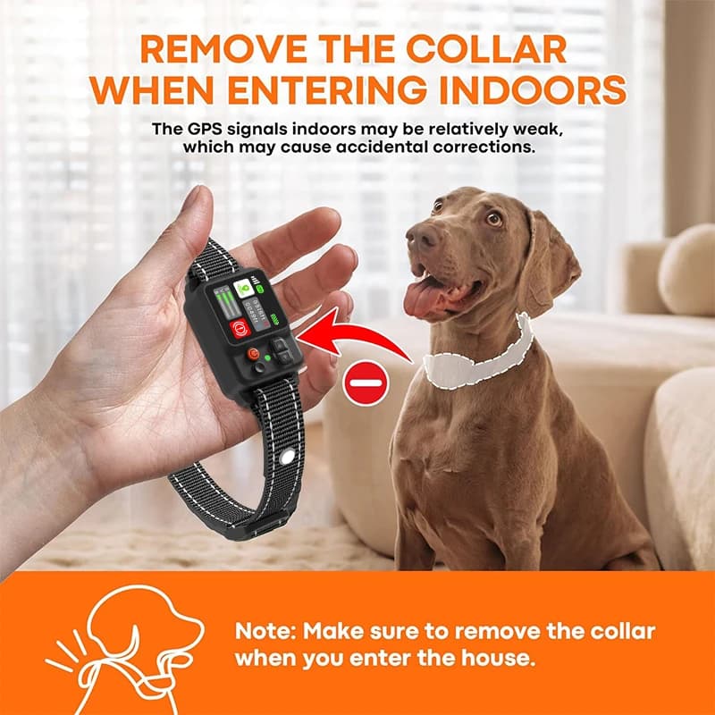 Portée de couverture de clôture sans fil GPS pour chien 49-6561 pieds IP67