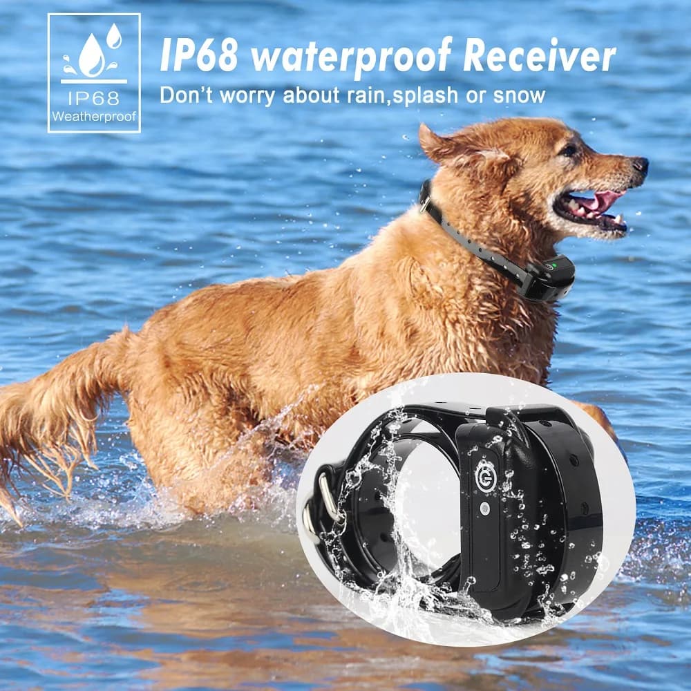 Clôture électrique Rechargeable sans fil pour chien de 200m