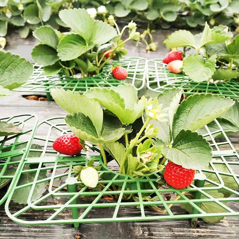 Supports de plantes Harvey 4