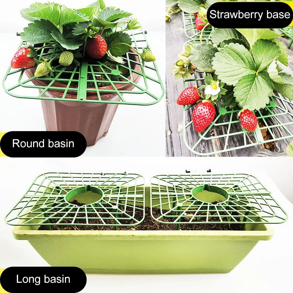 Supports de plantes Harvey 4