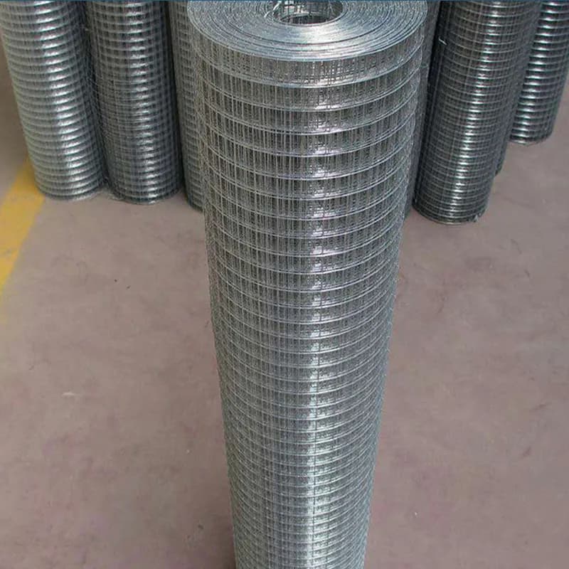 Clôture en treillis métallique soudé en acier inoxydable SS304