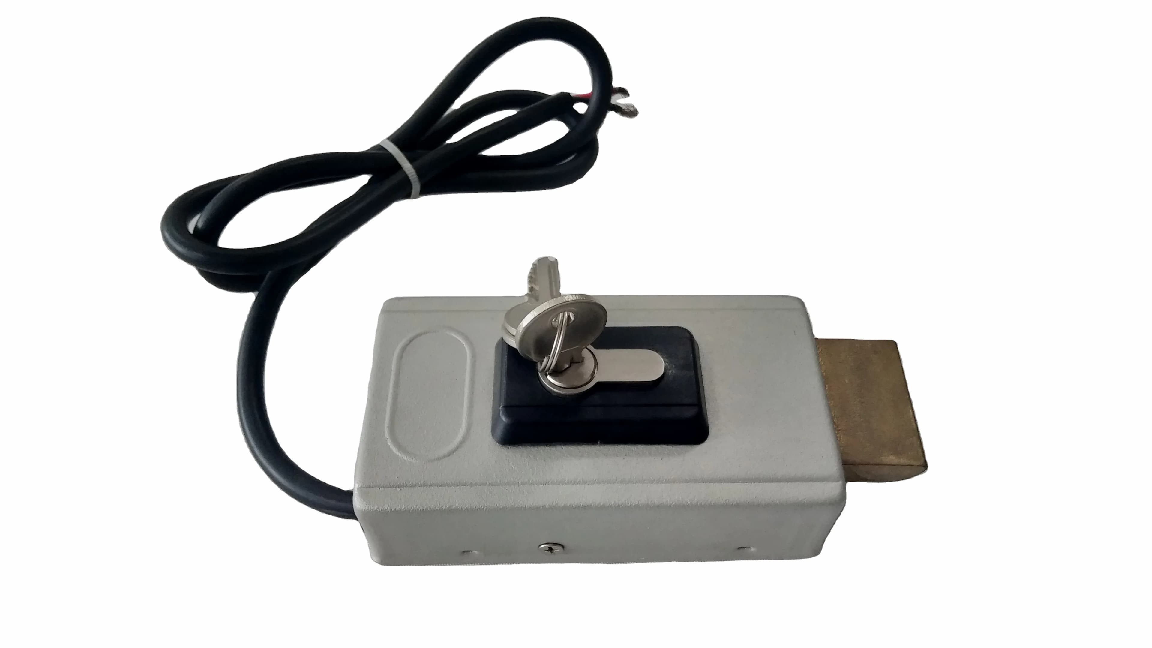 Serrure Électrique pour Porte Pivotante, Système d'Ouverture, 12V ou 24VDC