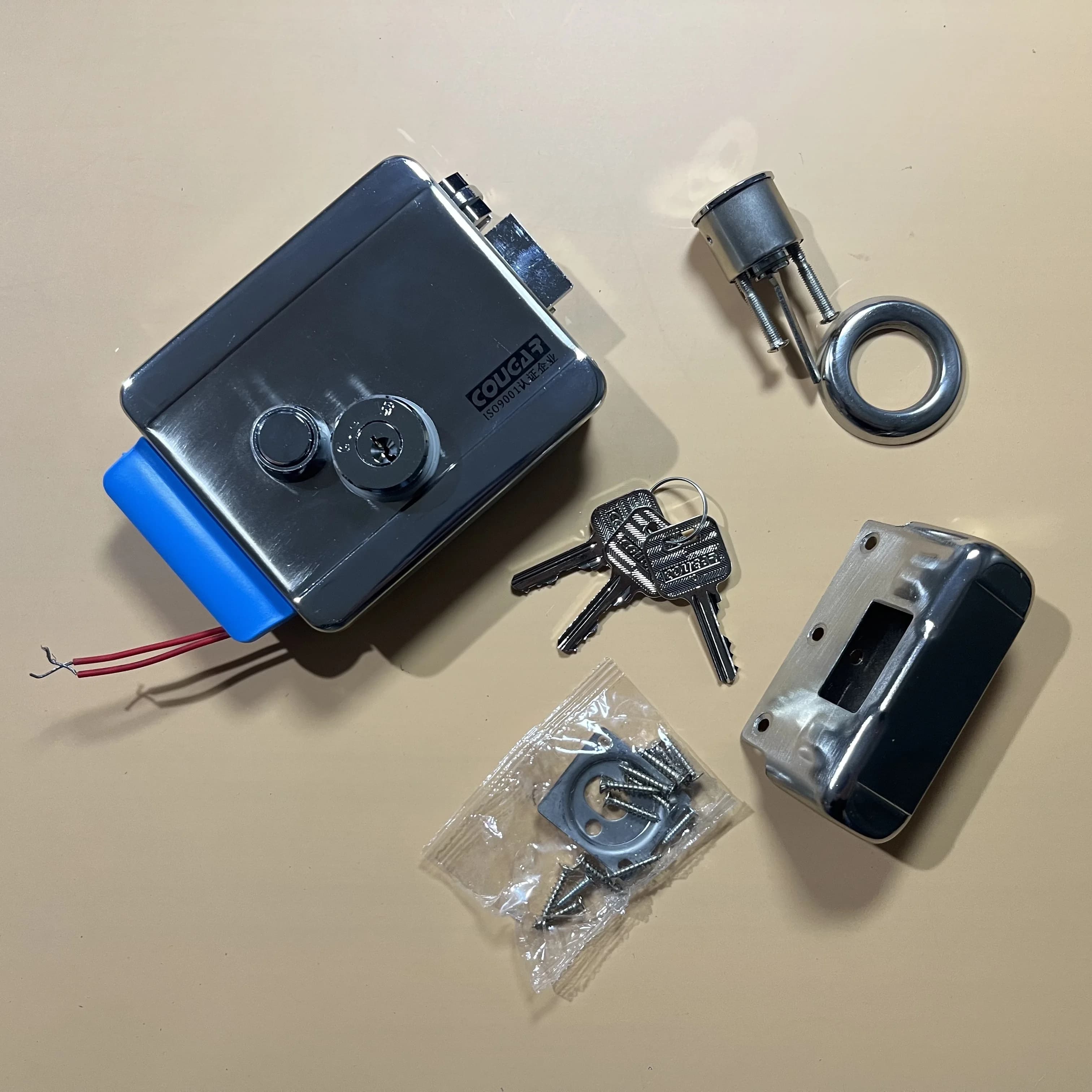 Serrure de porte électronique électrique DC 12V en acier inoxydable