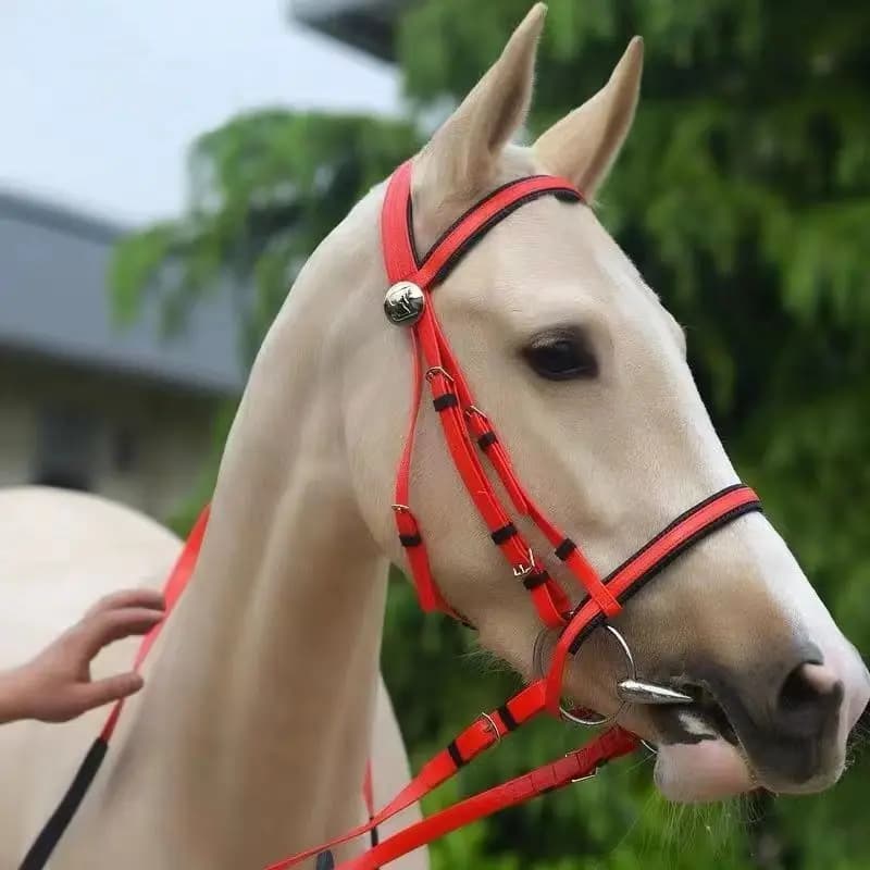 Collier tête de cheval licou, bride d'équitation en PVC de haute qualité, équipement équestre de haute qualité