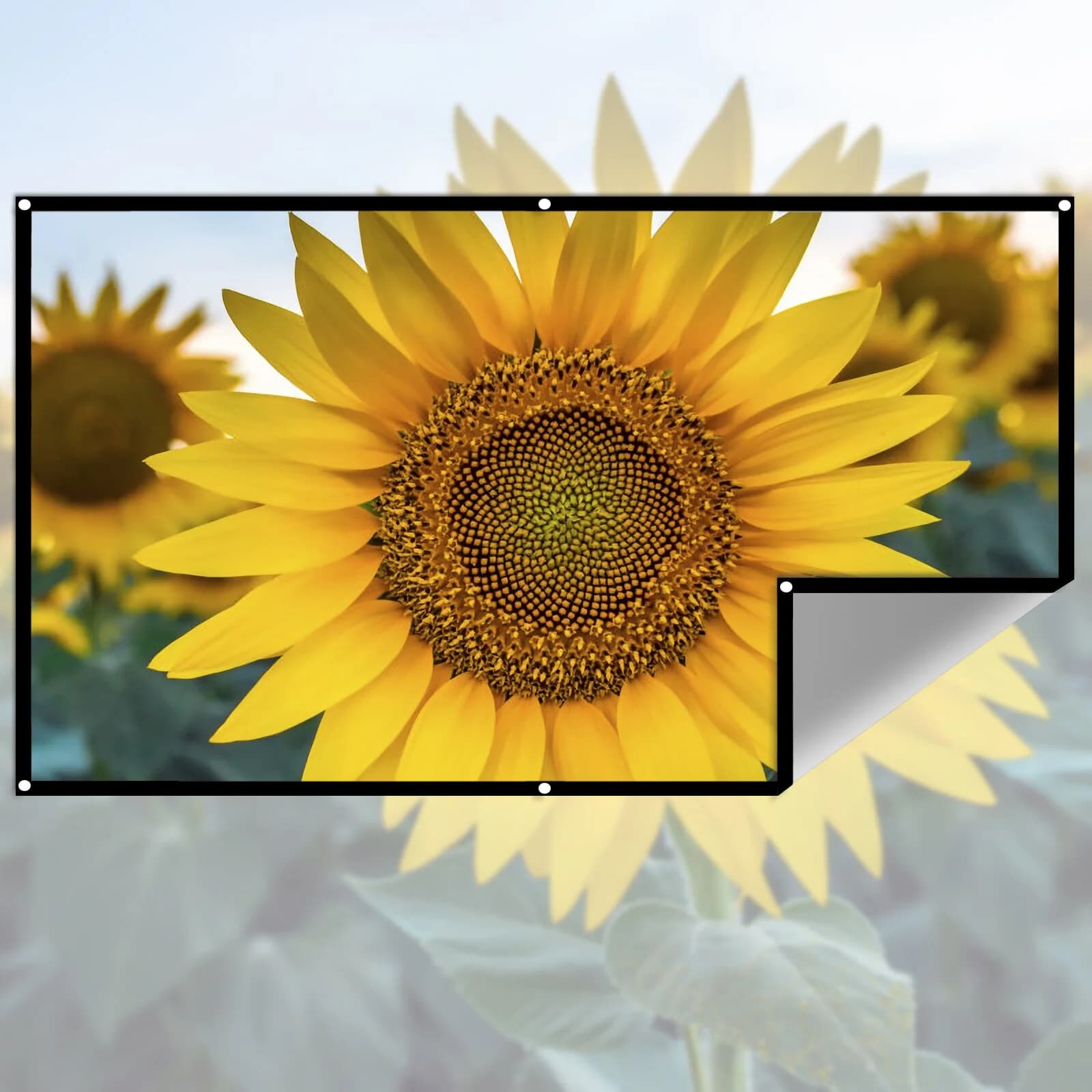 Écran de projection portable 4K, rideau de projecteur anti-lumière, tissu réfléchissant en métal, haute luminosité, 16:9