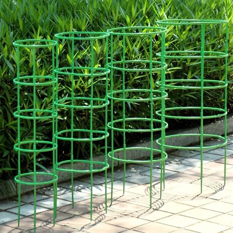 Support pour plantes vertes, cadre de Pile, Arrangement de serre, tige fixe en demi-cercle, plantes à fleurs d'intérieur, Support d'escalade de vigne, stylo Hock