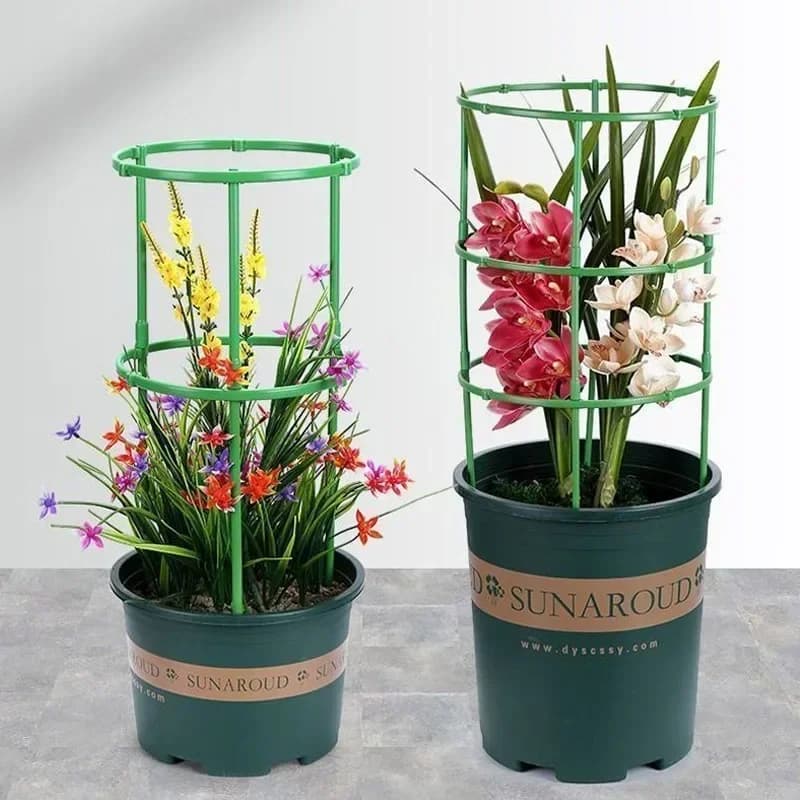 Support pour plantes vertes, cadre de Pile, Arrangement de serre, tige fixe en demi-cercle, plantes à fleurs d'intérieur, Support d'escalade de vigne, stylo Hock