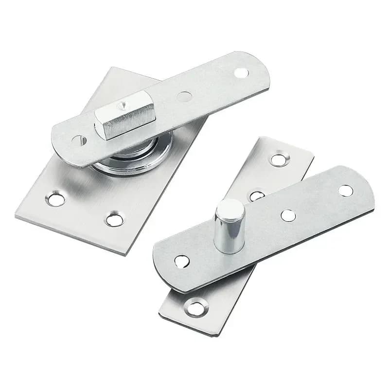 Charnière de porte pivotante en acier inoxydable