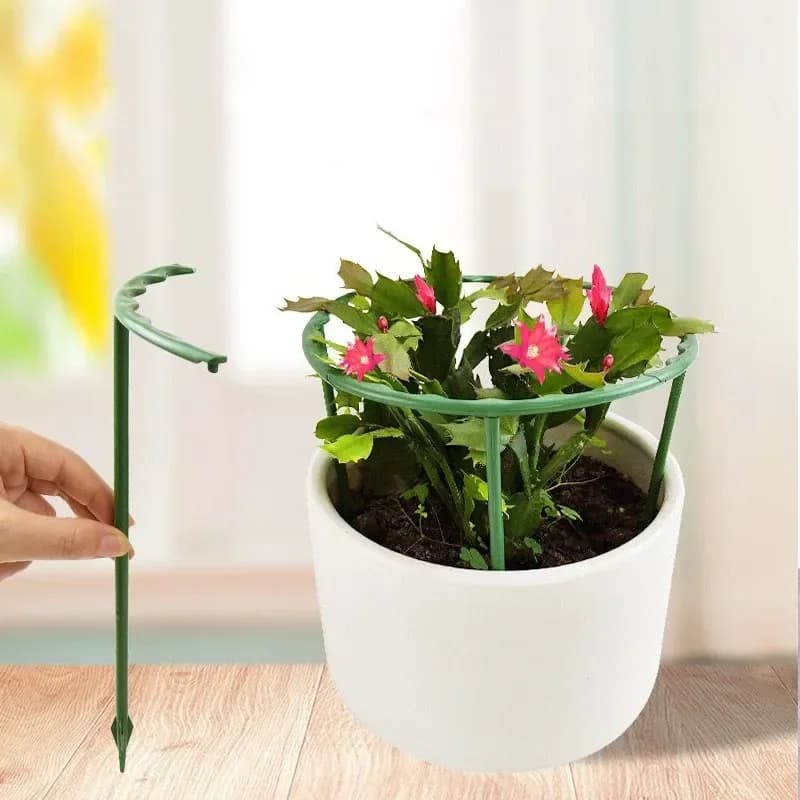 Support pour plantes vertes, cadre de Pile, Arrangement de serre, tige fixe en demi-cercle, plantes à fleurs d'intérieur, Support d'escalade de vigne, stylo Hock