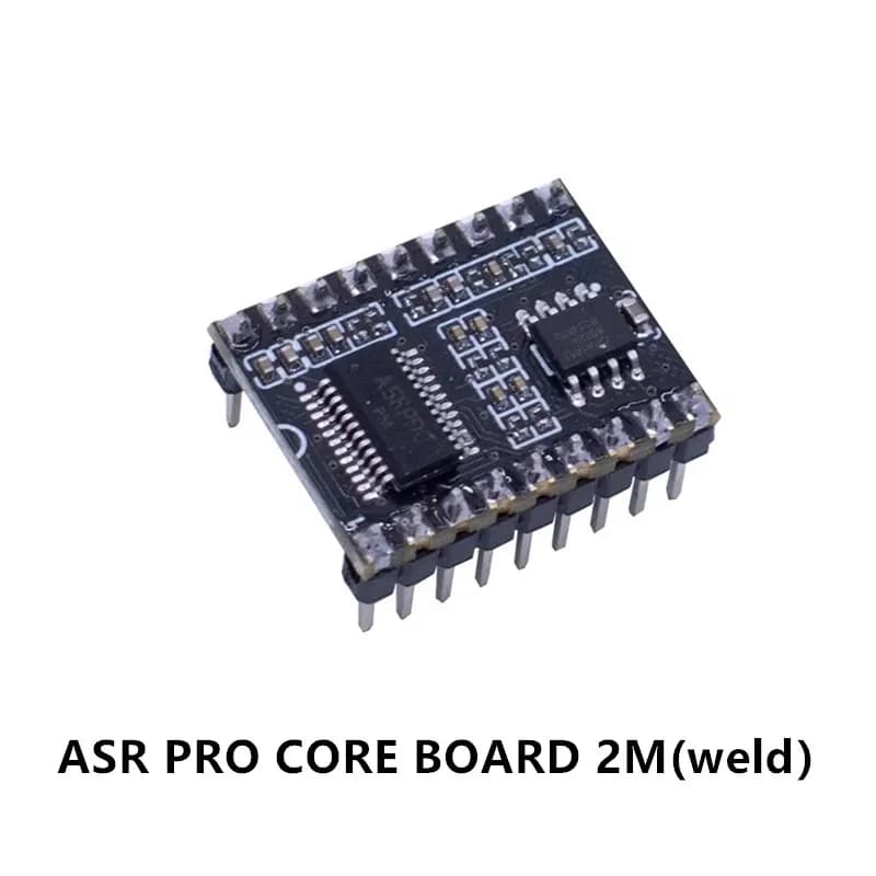 PRO module intelligent de commande de reconnaissance vocale AI identifie l'entrée définie par l'utilisateur de la carte