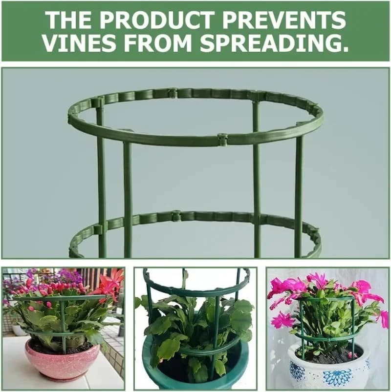 Support pour plantes vertes, cadre de Pile, Arrangement de serre, tige fixe en demi-cercle, plantes à fleurs d'intérieur, Support d'escalade de vigne, stylo Hock