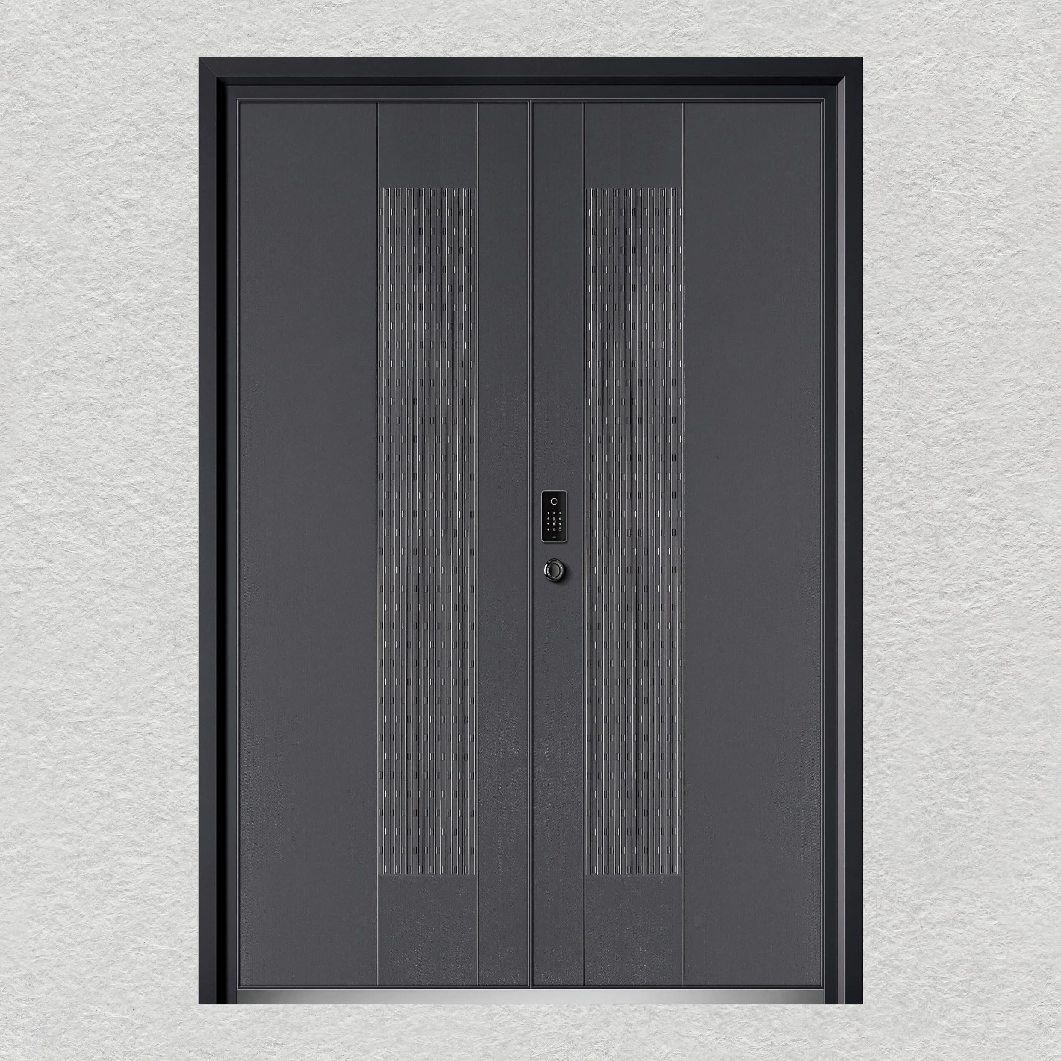 Porte d'entrée contemporaine personnalisée en aluminium et métal