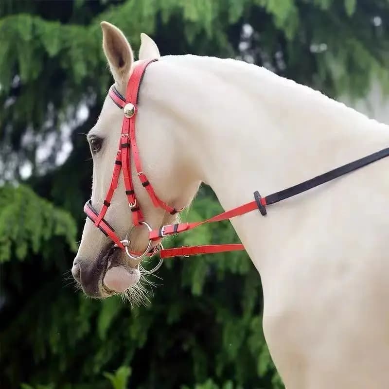 Collier tête de cheval licou, bride d'équitation en PVC de haute qualité, équipement équestre de haute qualité