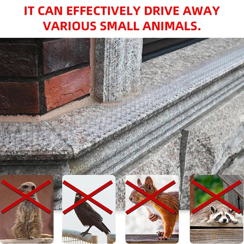 BOLTIFY Piques de clôture murales répulsives pour chats et animaux