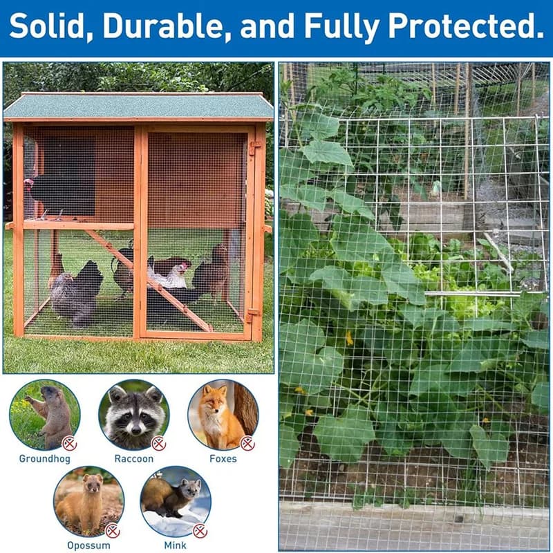 Grillage galvanisé - Pour la protection des animaux et des jardins