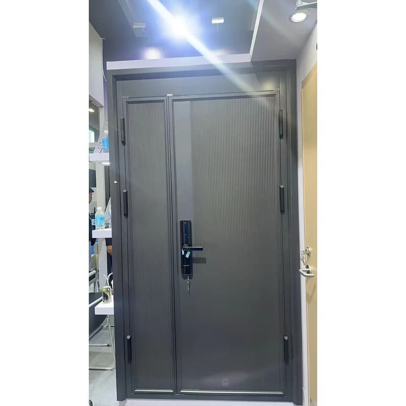 Porte d'entrée en alliage d'aluminium et d'acier au Design moderne