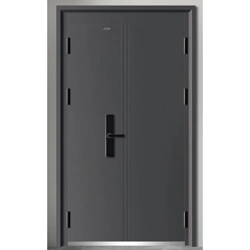 Porte d'entrée en alliage d'aluminium et d'acier au Design moderne