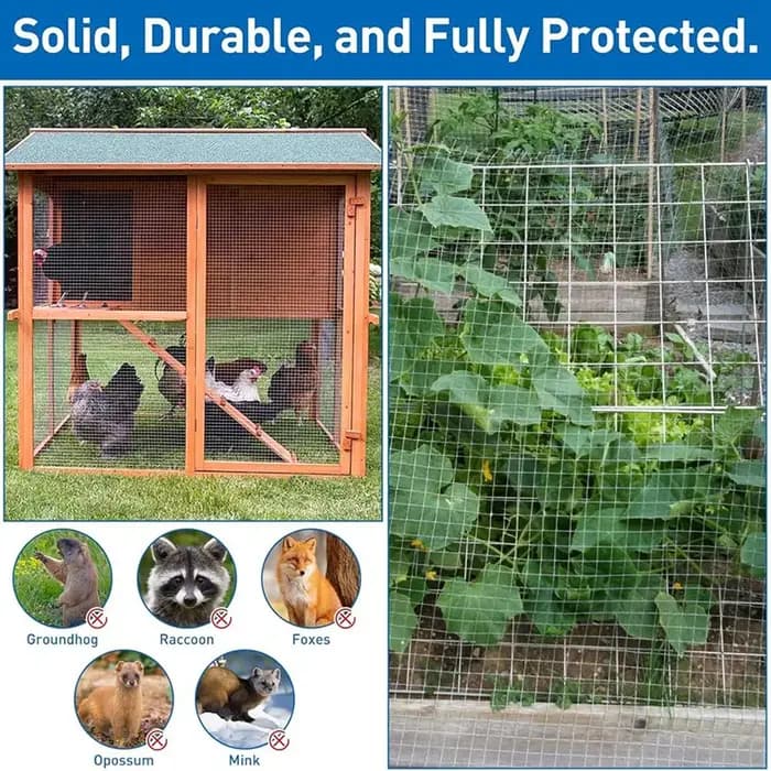 Grillage galvanisé - Pour la protection des animaux et des jardins