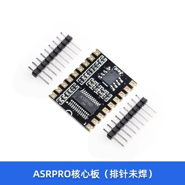 ASR-PRO module intelligent de commande de reconnaissance vocale AI identifie l'entrée définie par l'