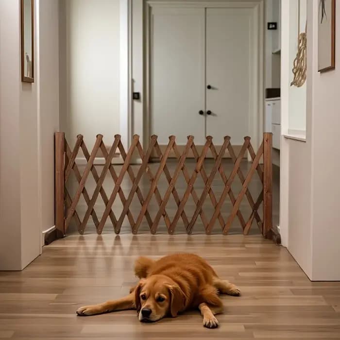 Barrière pliable extensible pour chien